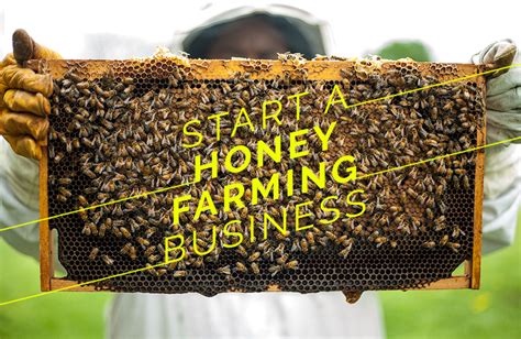 Honey Farm Business Plan